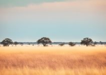 Previsioni meteo caldo africano per questo Weekend